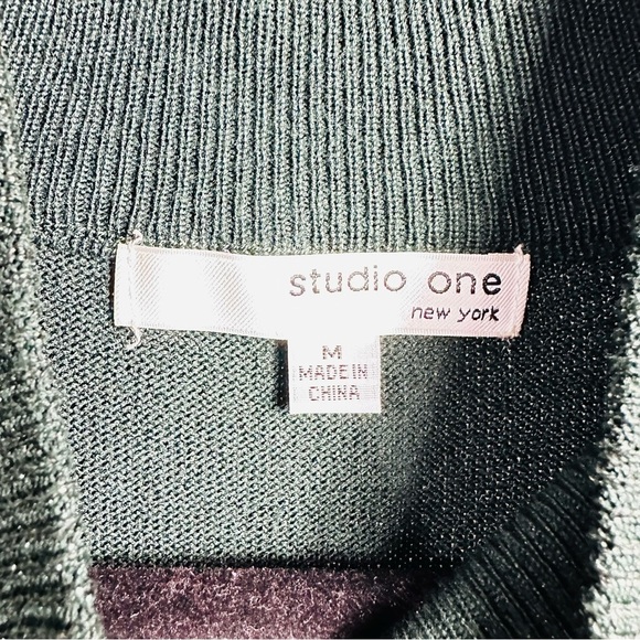 NWT Studio One Women’s Sz Medium Dark Green Mock Neck Long Sleeve Pleated Dress - Picture 6 of 7